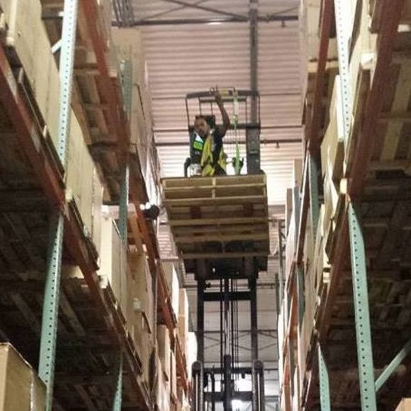 Meet your Posher, Alphonso - Picture 1 of 1